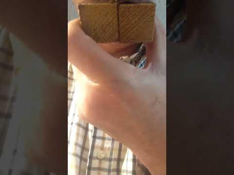 "Crazy for You" Cuckoo Clock Whistles