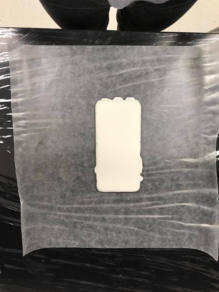 16809758_10209217679376079_1707097116_n (1).jpg