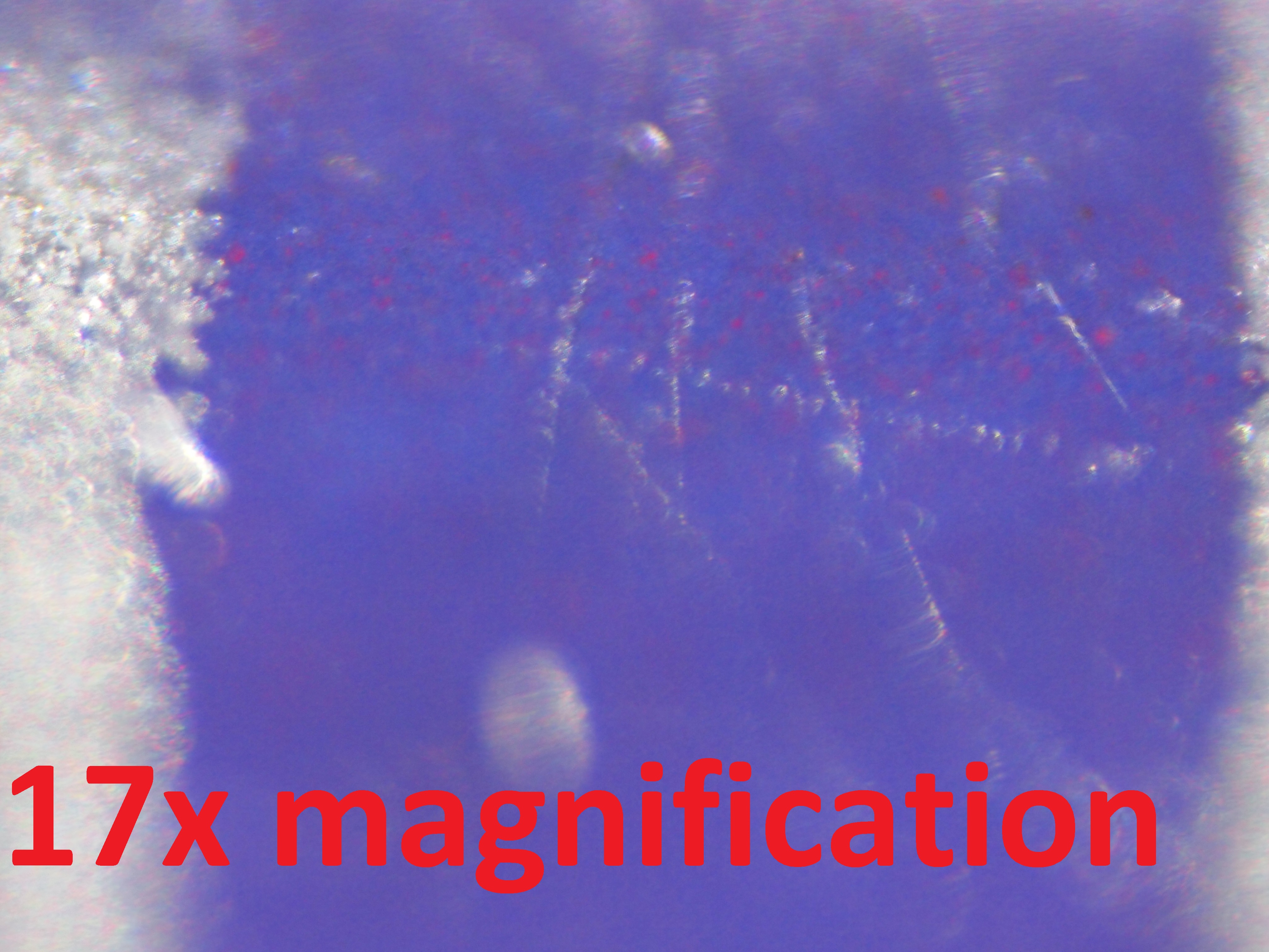 173x-magnificatoin-with-16mm-reversed-cctv-on-open-bellows_5068087996_o - Copy.jpg