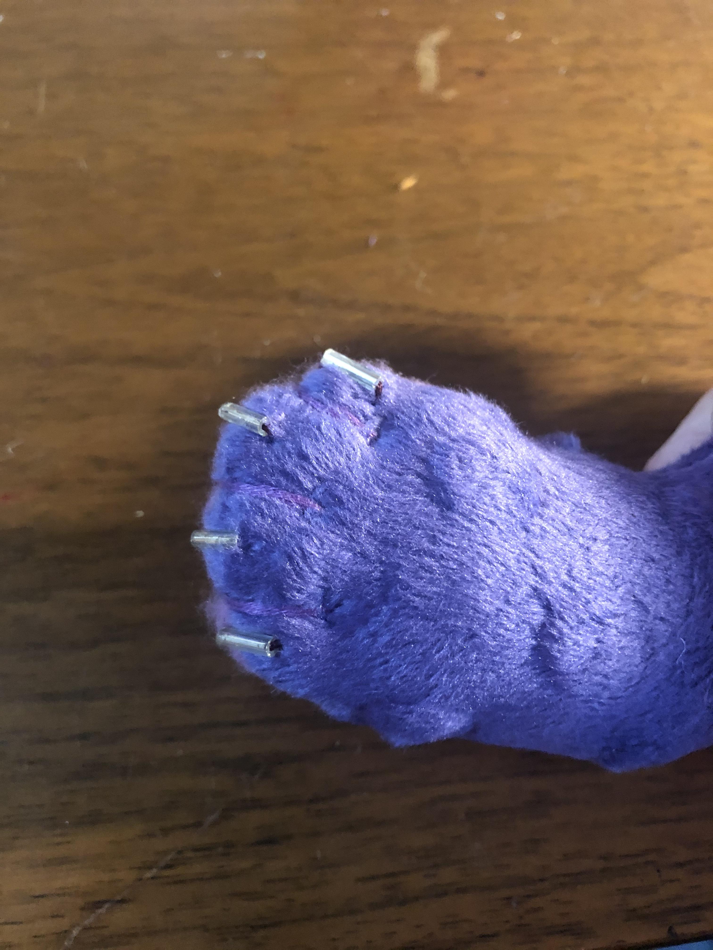 2 - front paw back.jpeg