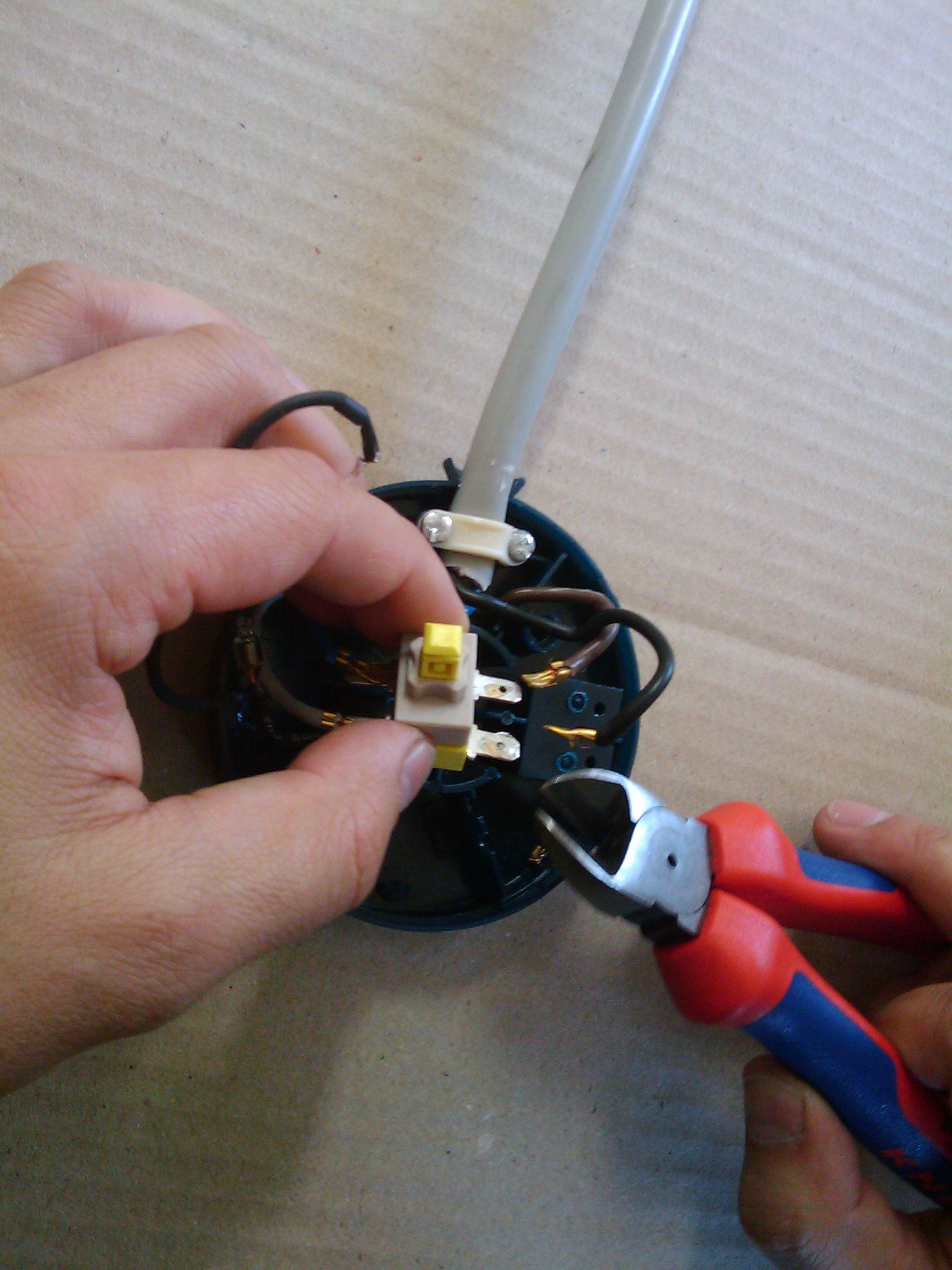 2009-08-06 16.04.23.jpg