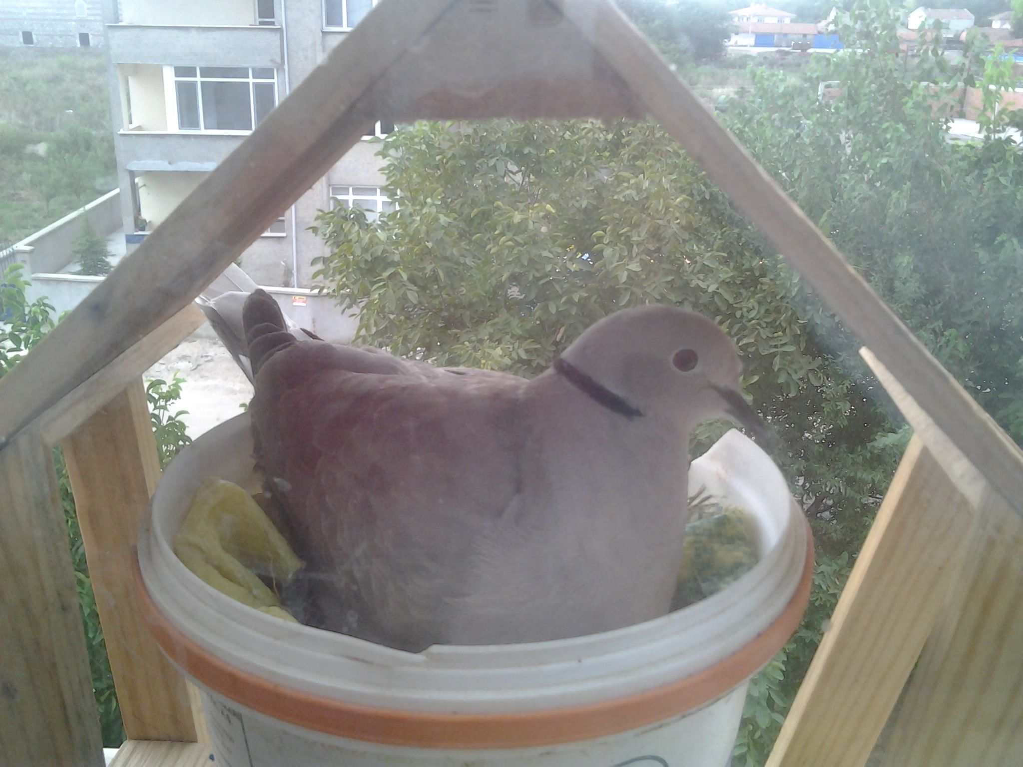 2014-08-17 15.14.00.jpg