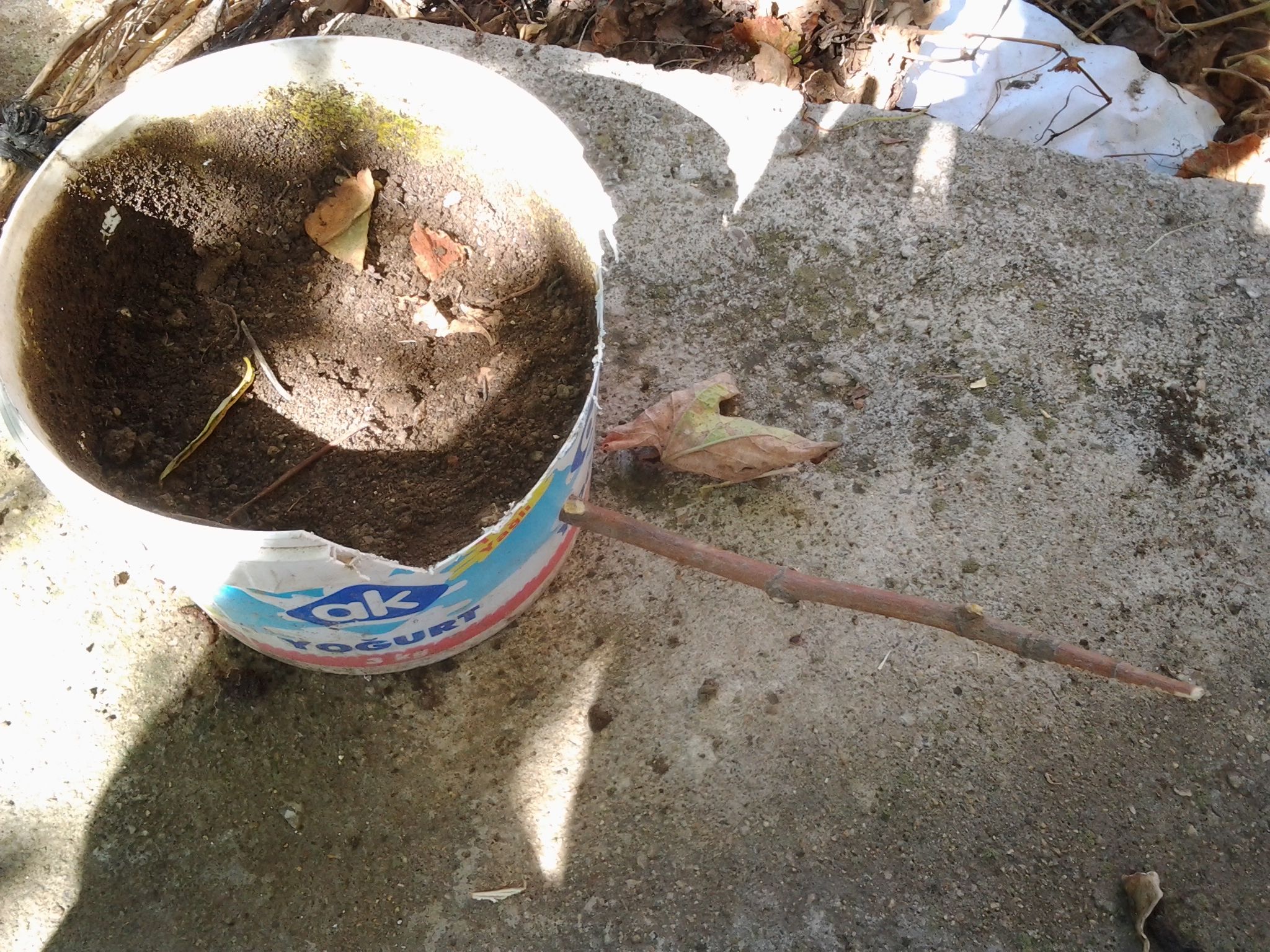 2014-08-18 10.22.57.jpg