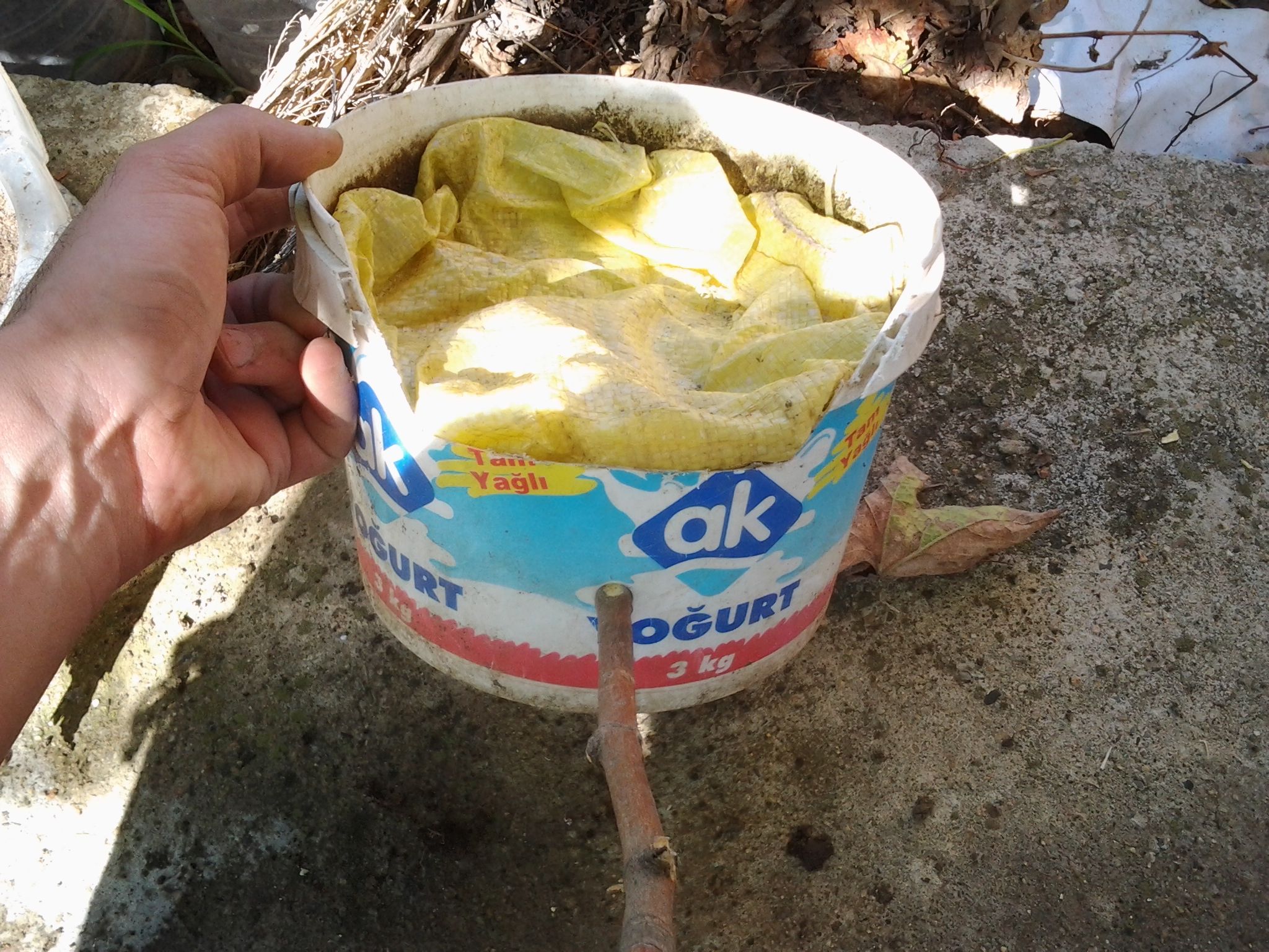 2014-08-18 10.25.07.jpg