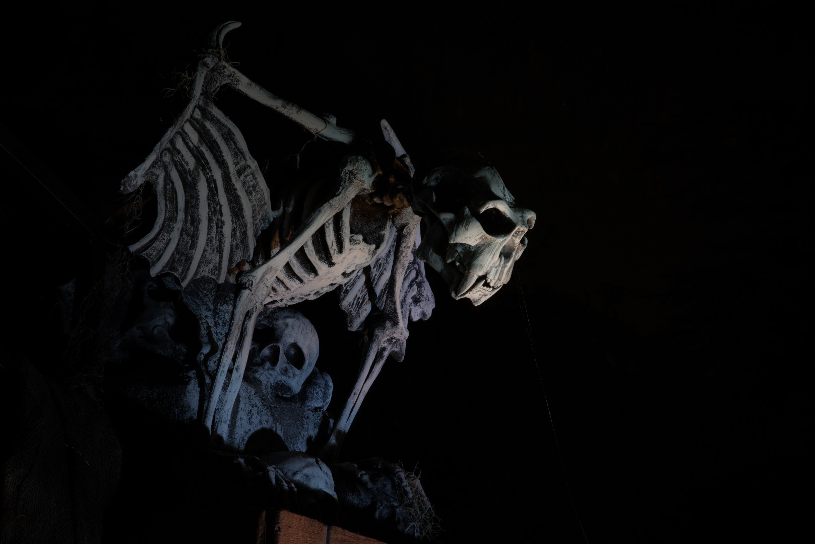 2015 Davis Graveyard Night-8717.jpg