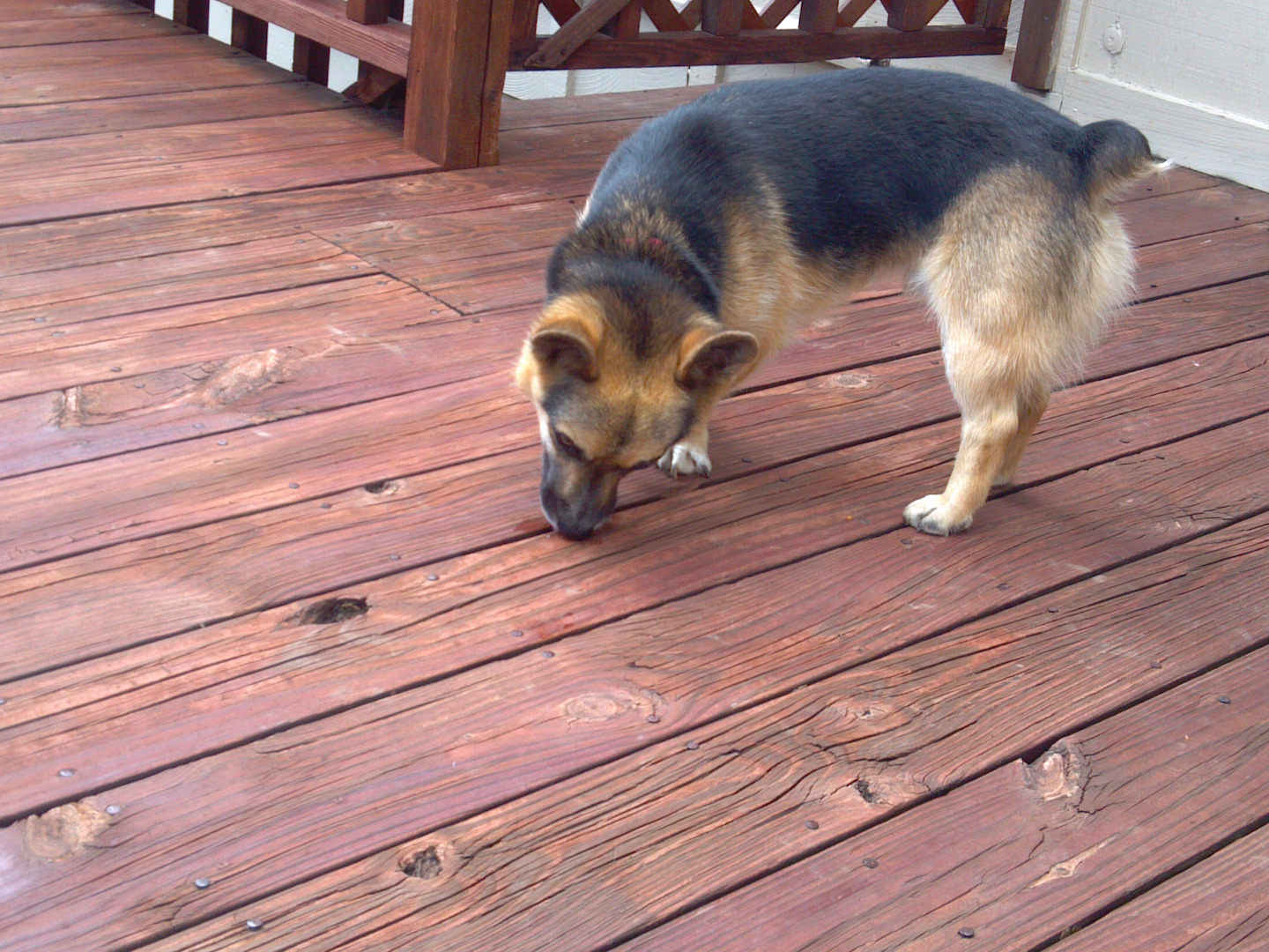 2015-08-07 13.43.43.jpg