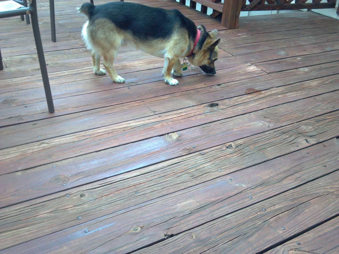 2015-08-07 13.45.39.jpg