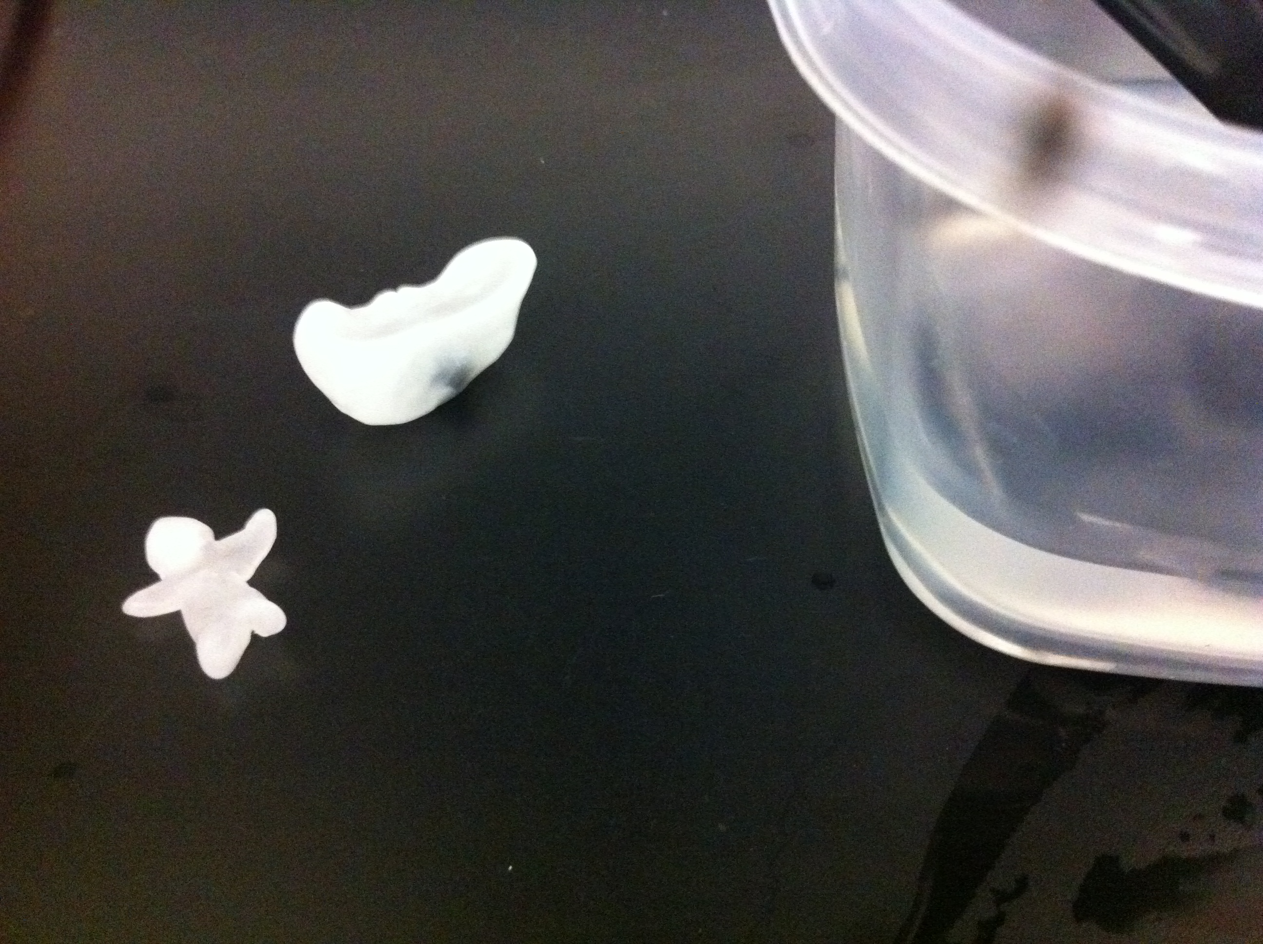 2016-12-10 17.54.52.jpg