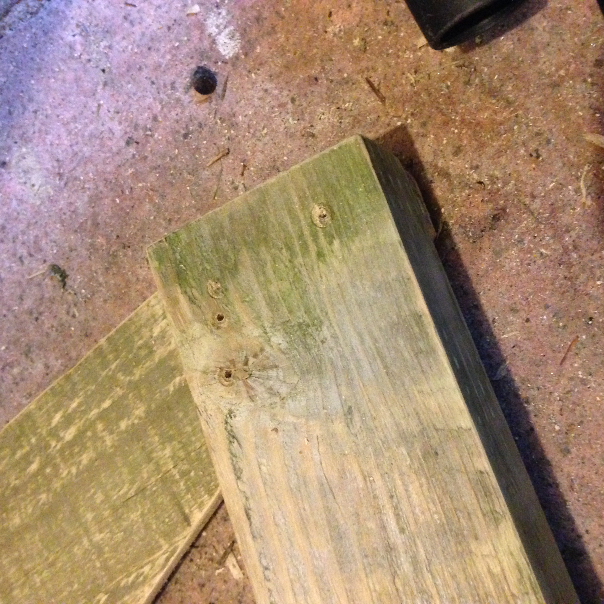 2017-09-11 11.47.52.jpg