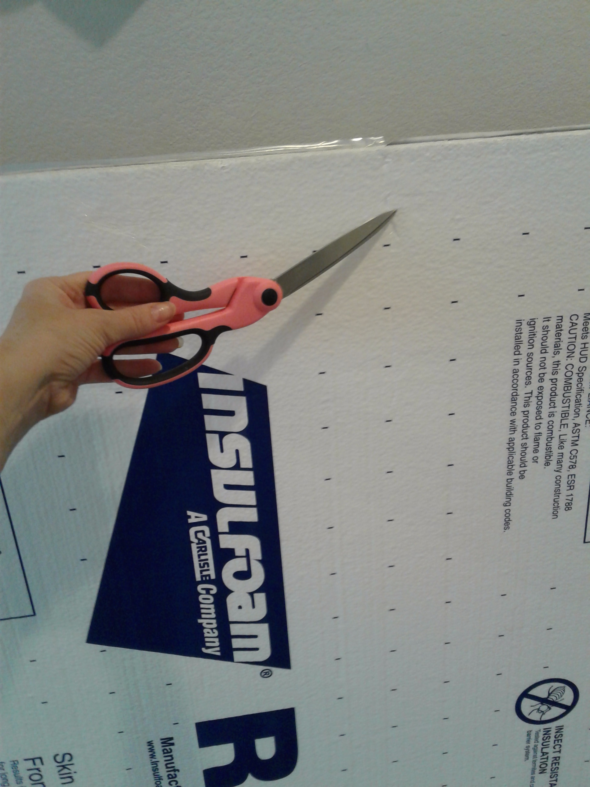 20171017_142429 - Copy.jpg