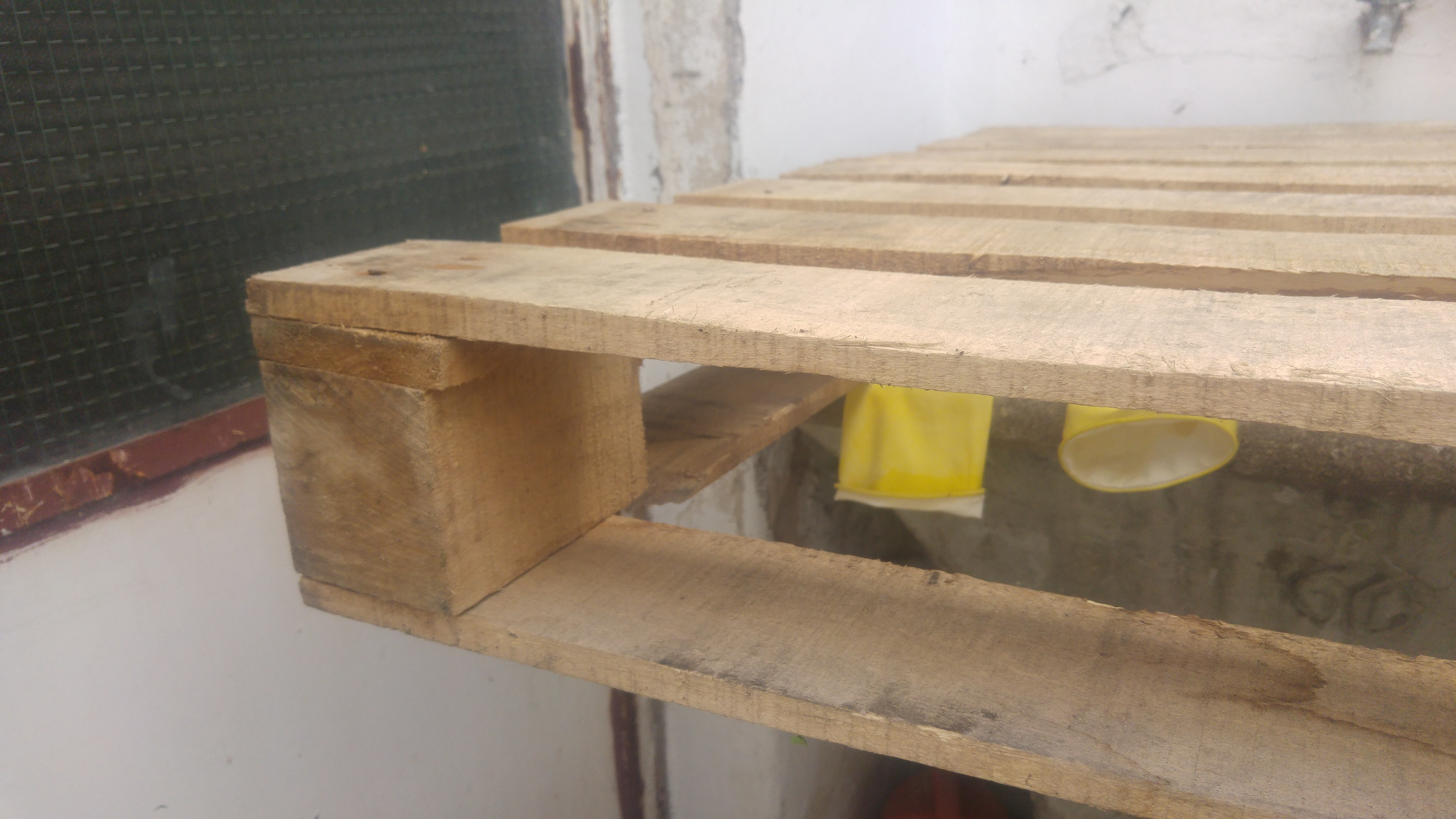 2019-03-20 08.25.09.jpg