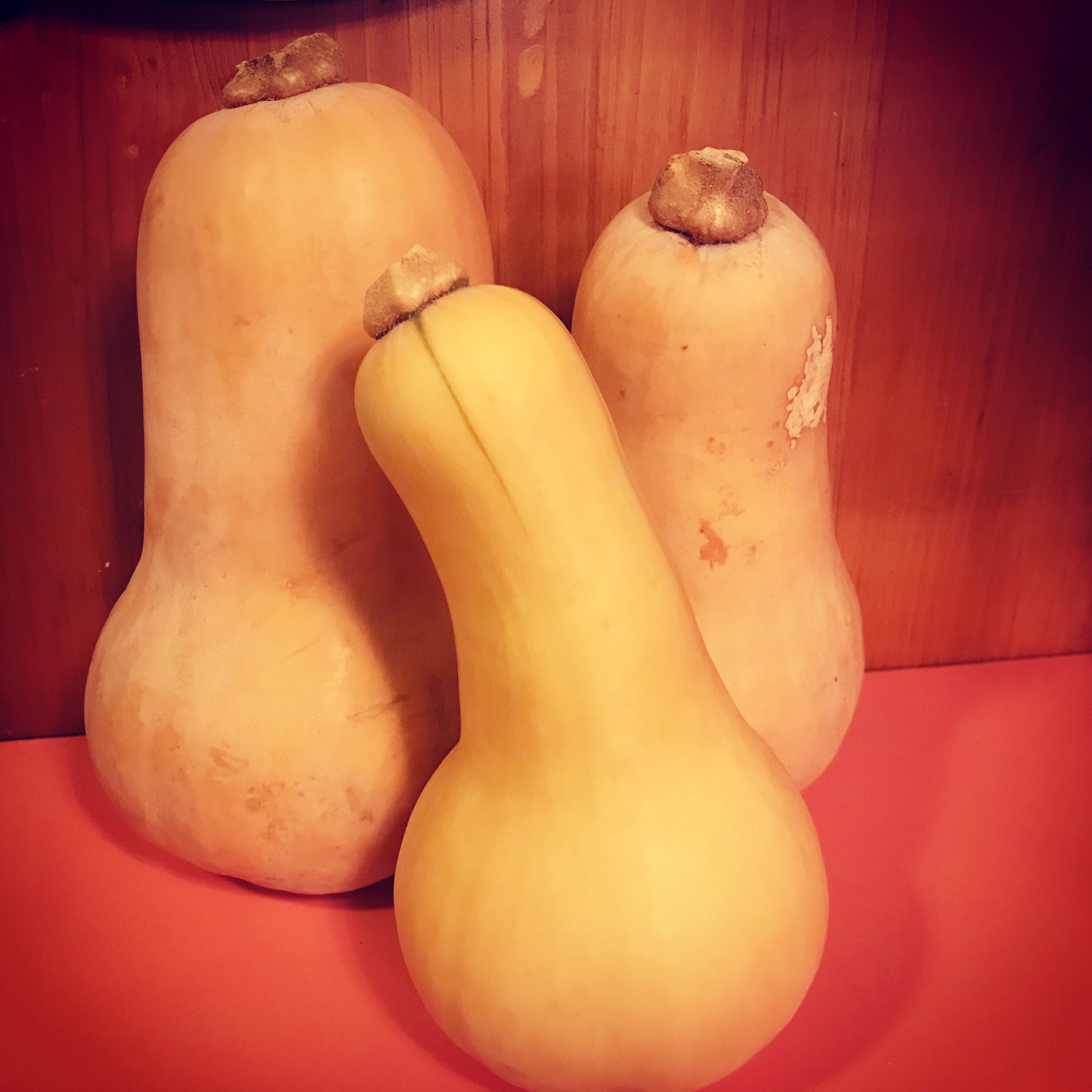 2020-02-11 07.41.39.jpg