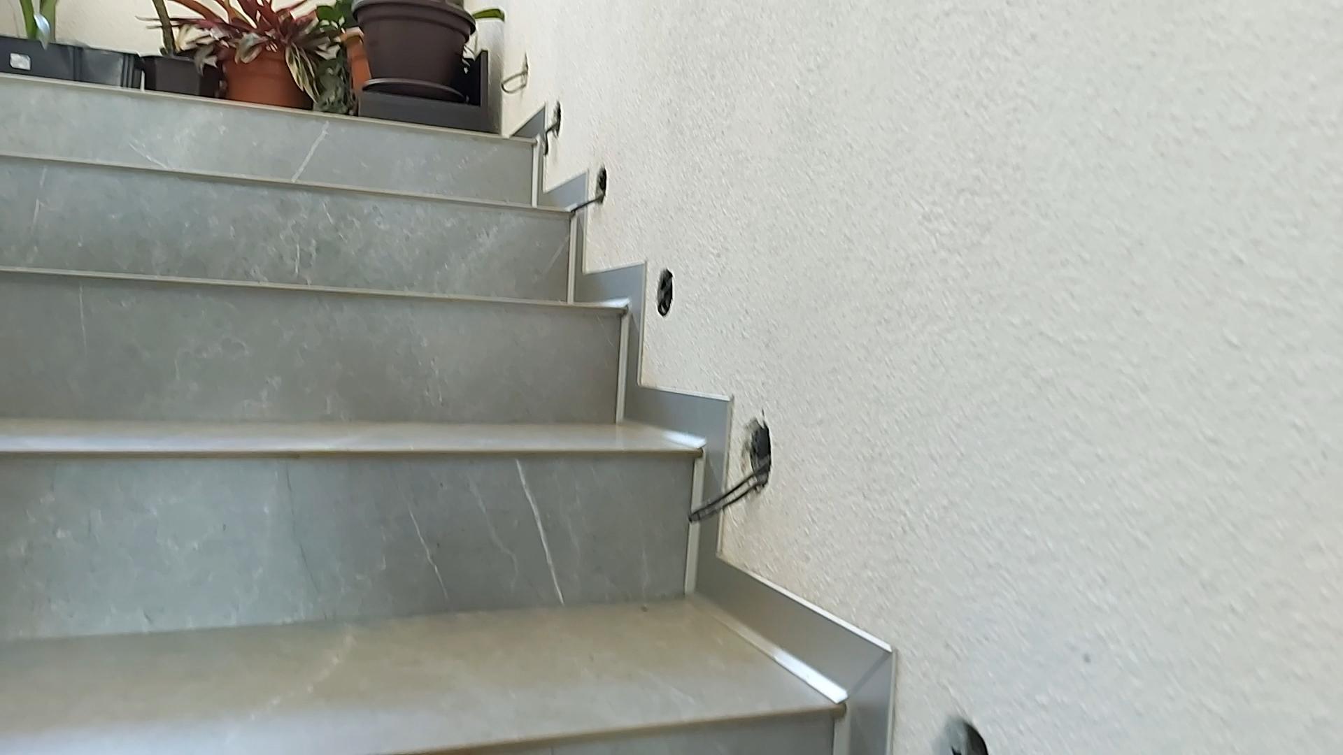 2021-08-25 06-16-43.00_01_19_07.Still006.jpg