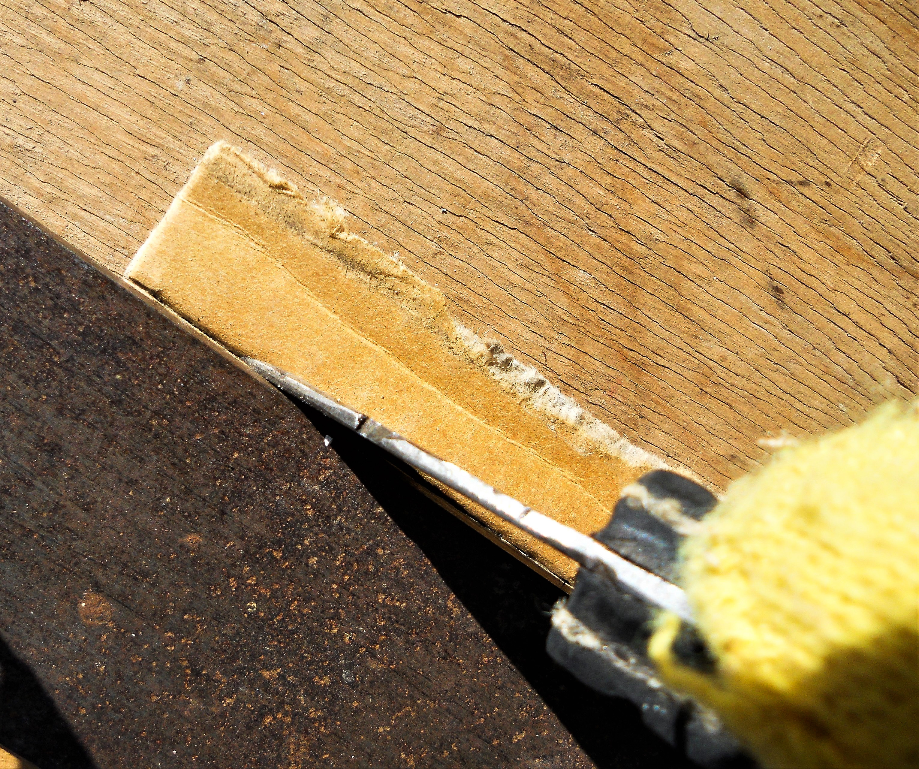 3 DSCN9988---------_edited.jpg