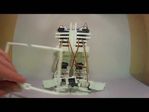 Assembling BONES's Upper Body