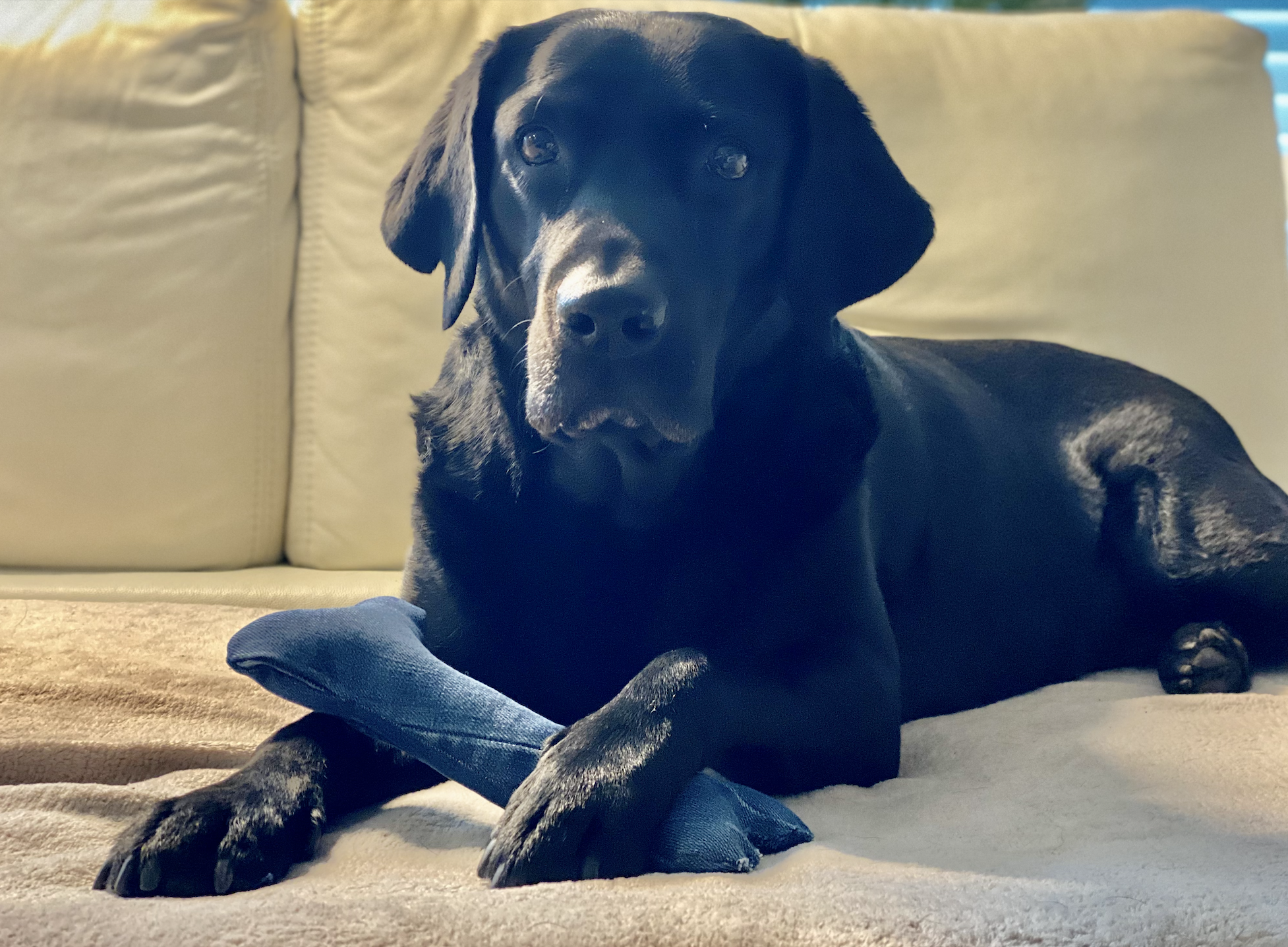 Bildschirmfoto 2021-02-26 um 13.19.13.png