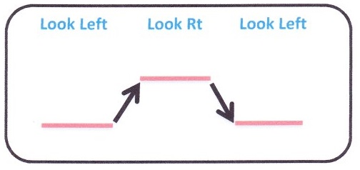 Bio Cals_final 4.jpg