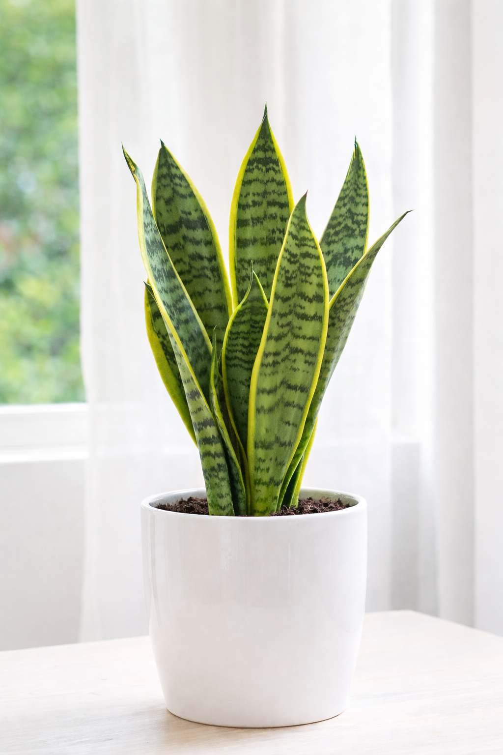 ChatGPT Image Feb 25, 2026, 01_23_20 AM.png