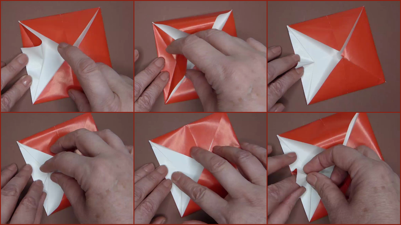 Collage PicMonkey3.jpg