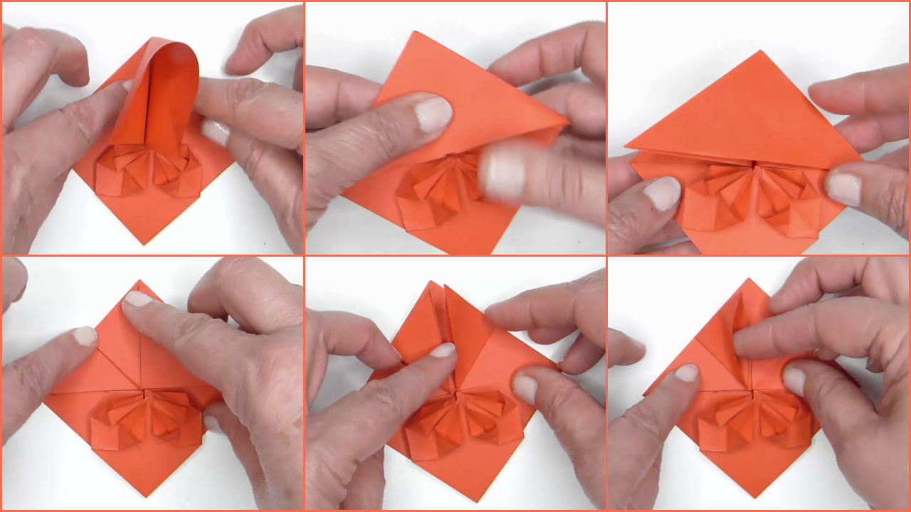 Collage PicMonkey4.jpg