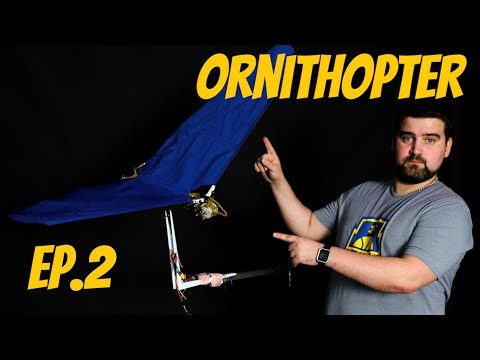 DIY: Ornithopter wings and operability check