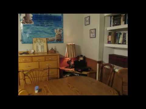 DIY Muscle Wood Lamp Base With Burnt Wood Shade