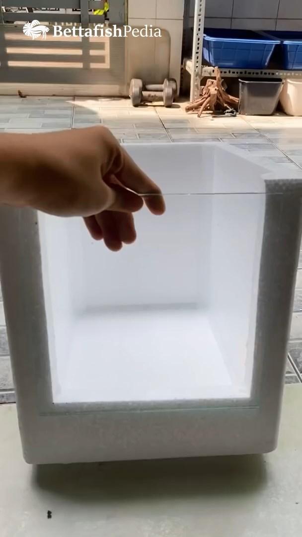 DIY fish tank.mp4_snapshot_00.11_[2023.05.14_23.51.26].jpg