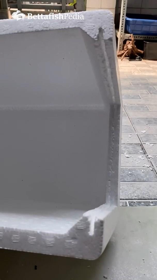 DIY fish tank.mp4_snapshot_00.16_[2023.05.14_23.51.33].jpg