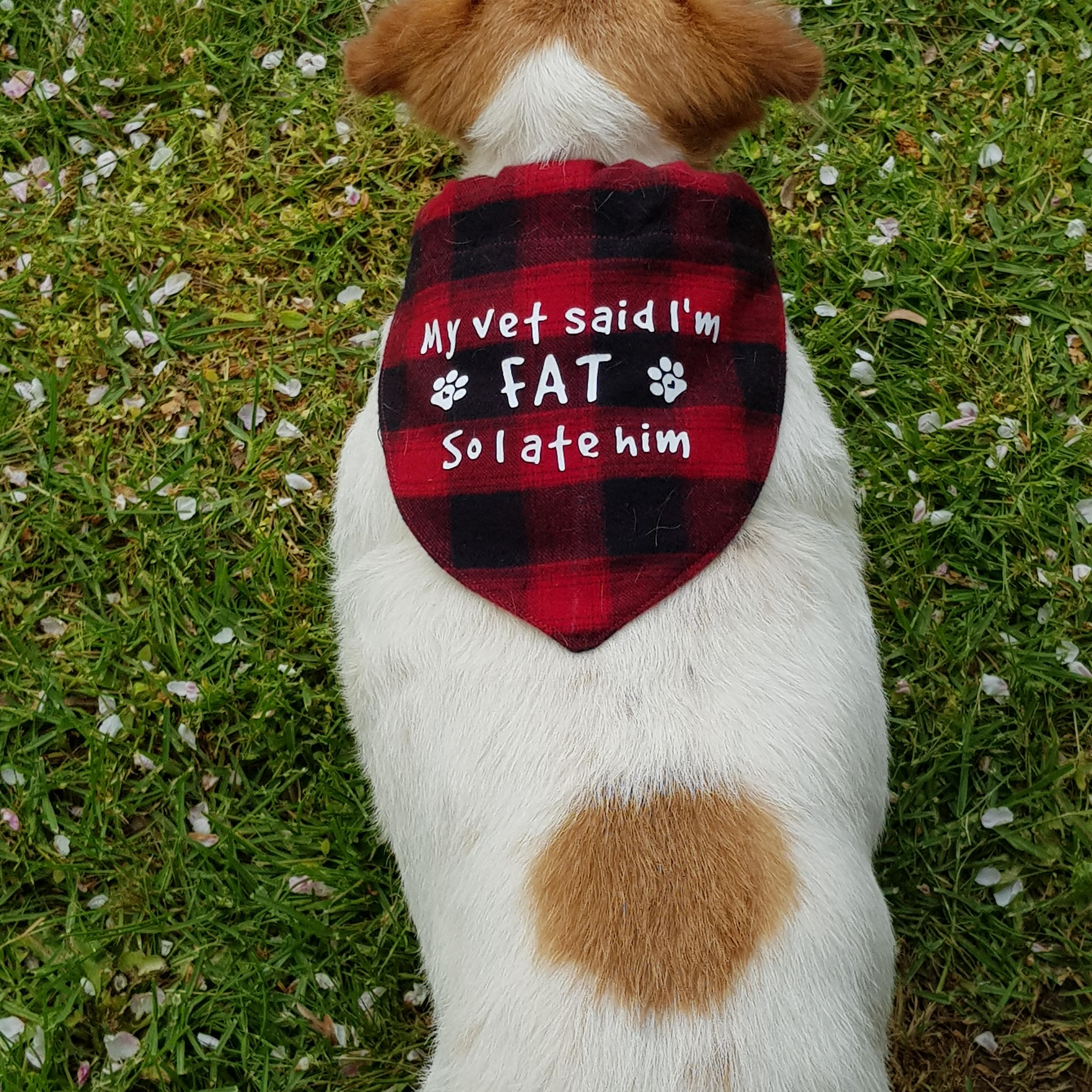 Dog Bandana (44).jpg