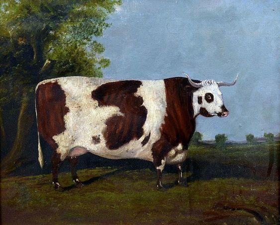 EDWIN M. FOX (flourished 1830-1870) British Prize Cow in Landscape.jpg