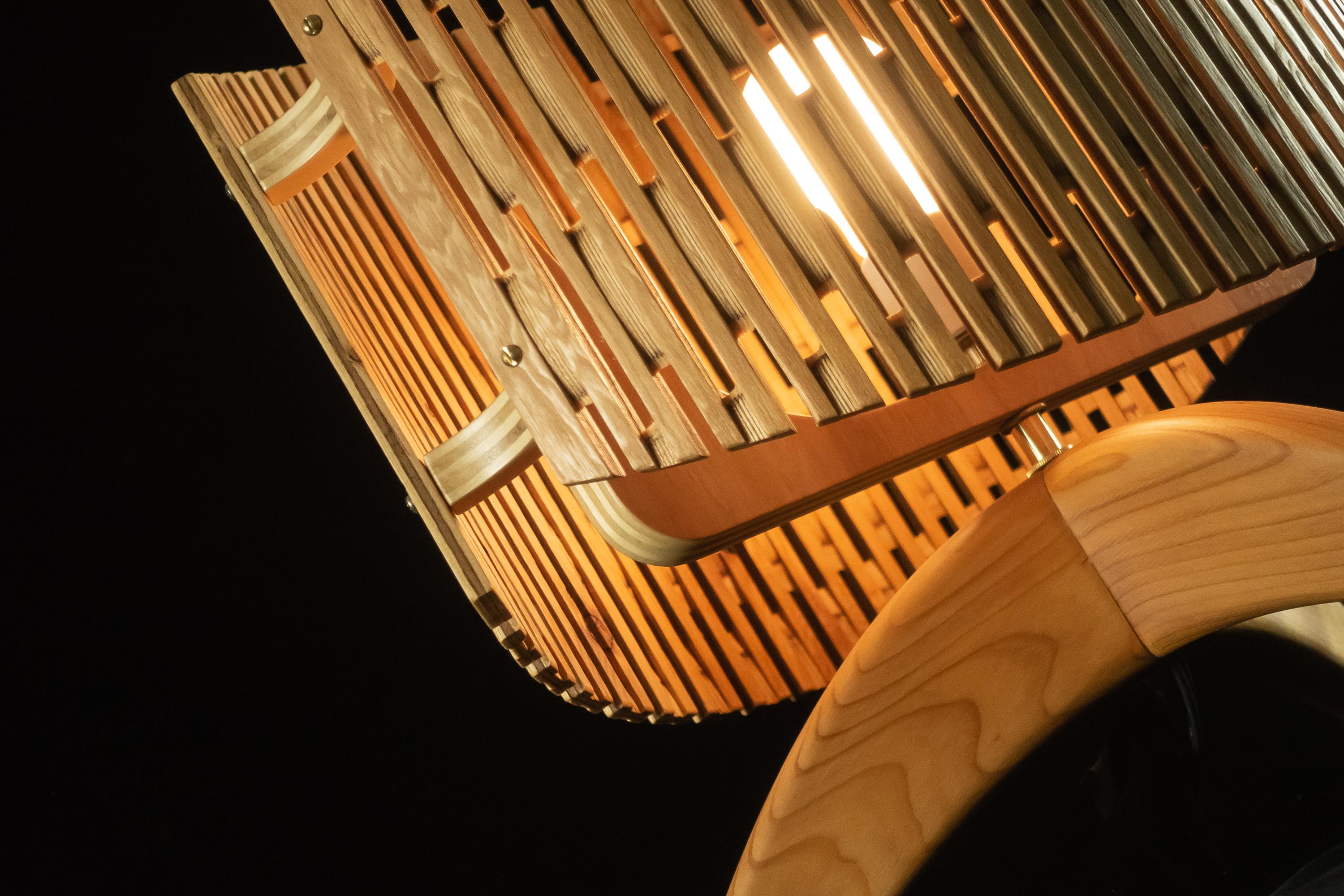 FLEX LAMP-1011-2.jpg