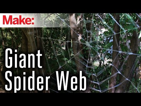 Giant Spider Web