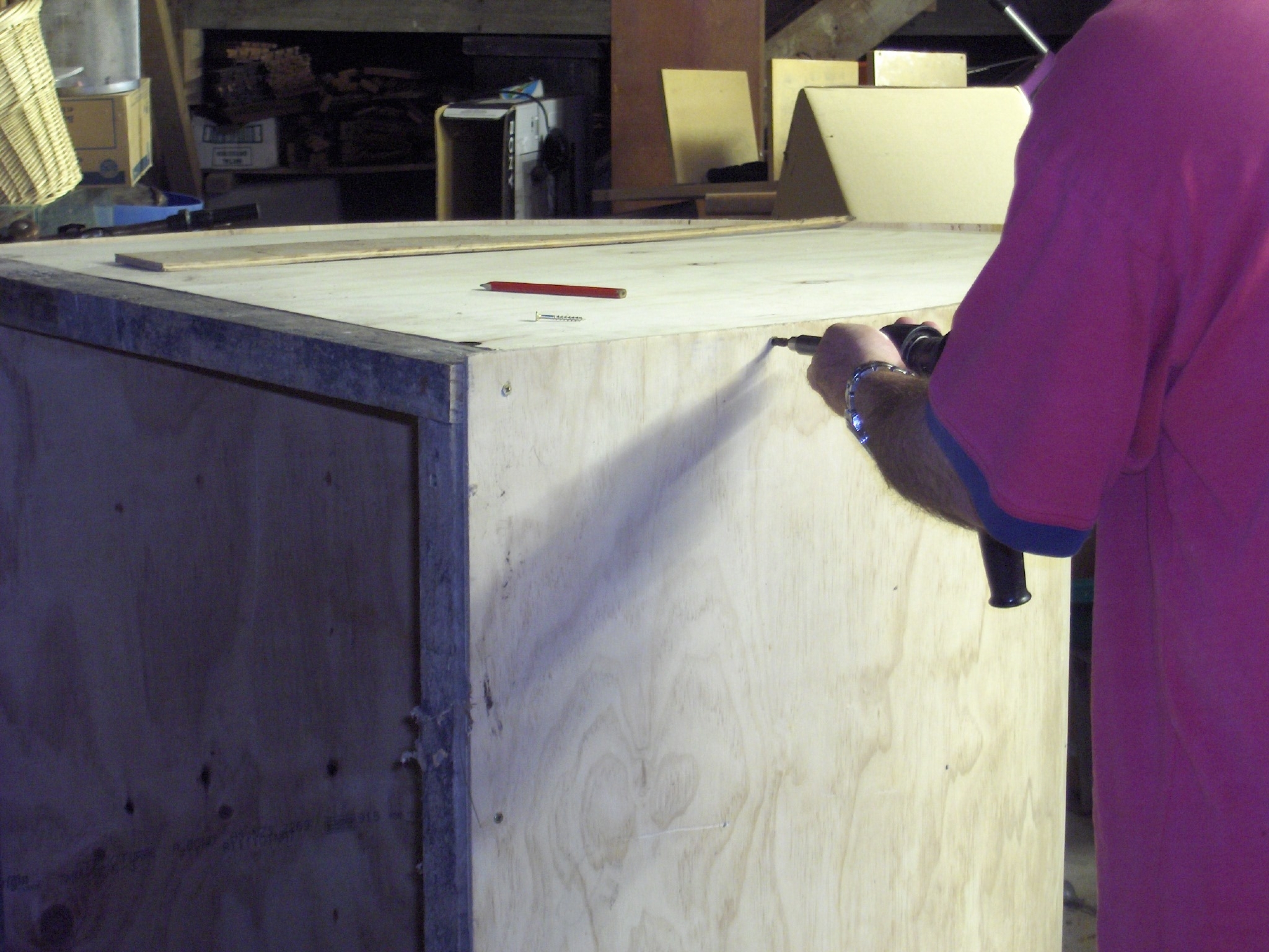 Gothic chook coop 023.JPG