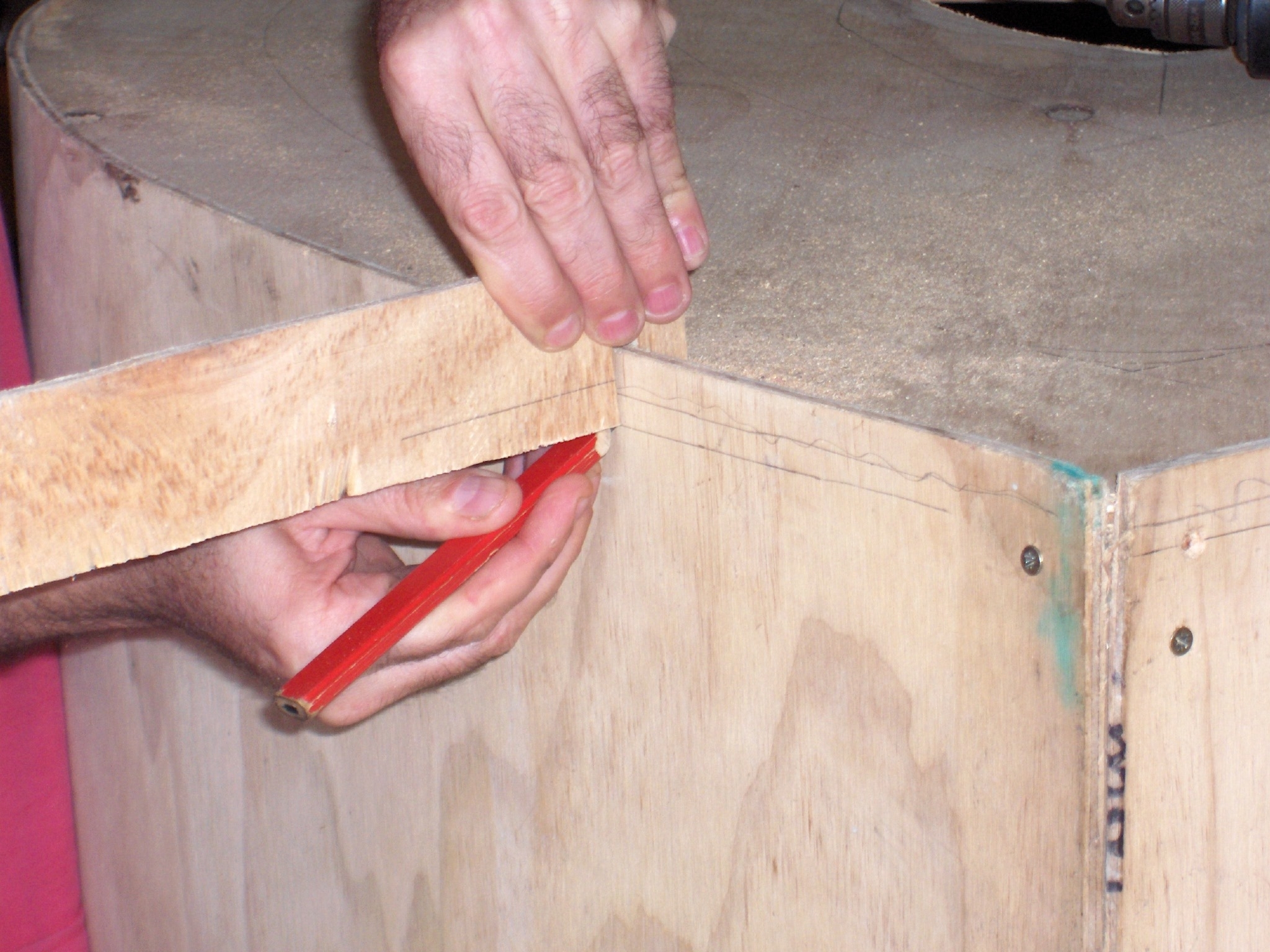 Gothic chook coop 061.JPG