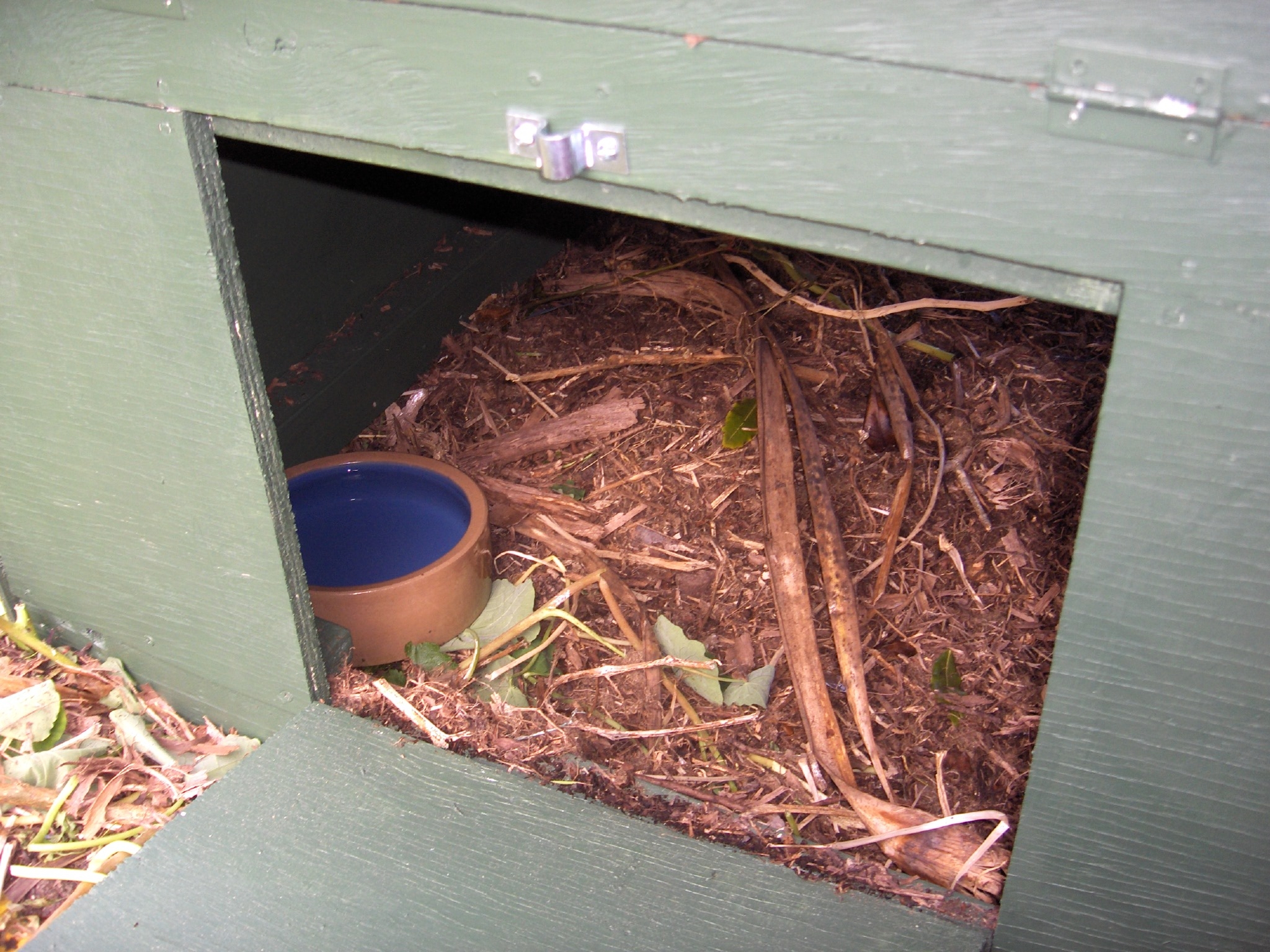 Gothic chook coop 169.JPG