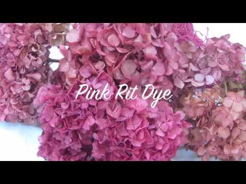 How To dry Hydrangeas &amp;amp; How to Color Hydrangeas