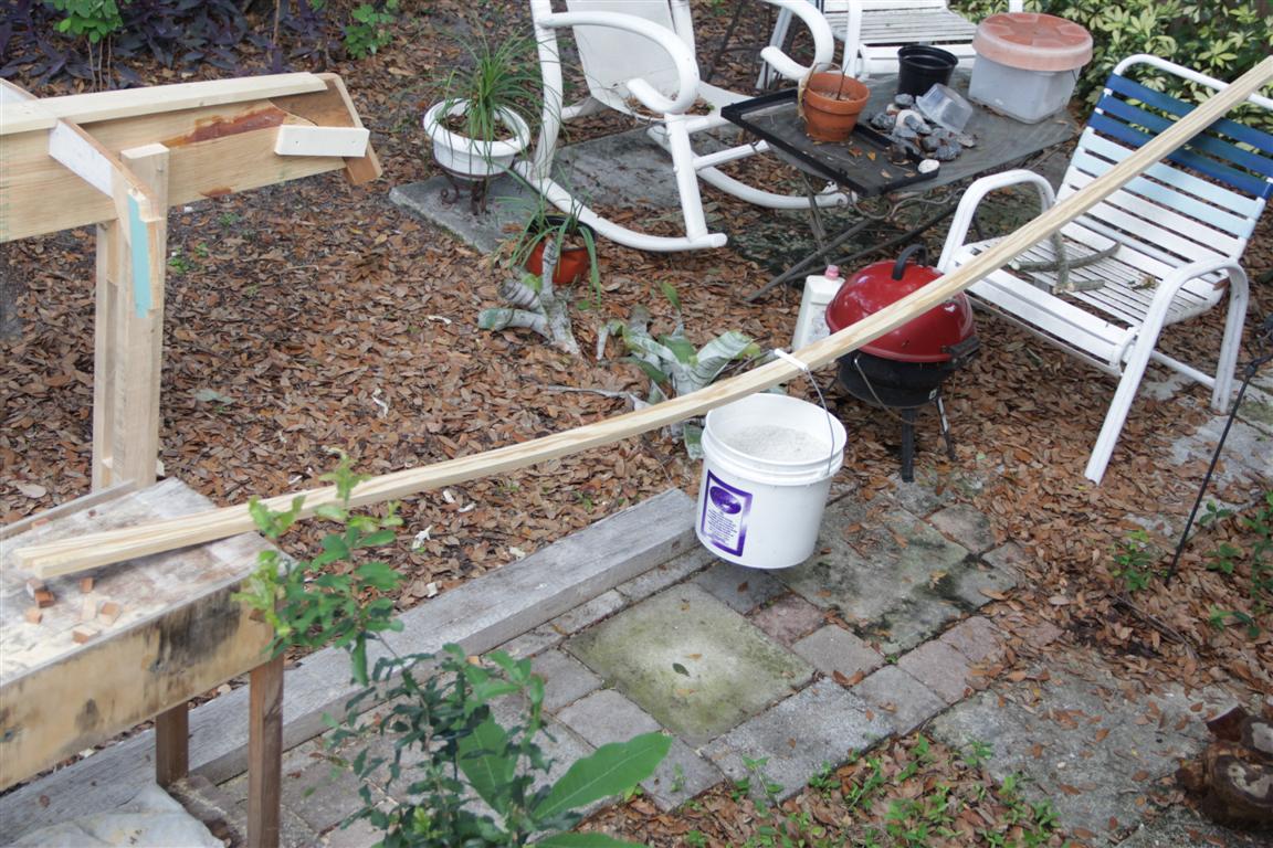 IMG_1045 (Medium).JPG