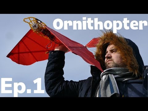 It&rsquo;s not a bird! But it's flying!