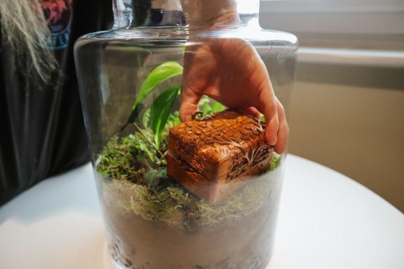 Kids DIY Terrarium - Finishing Theme 1 800x533.jpg