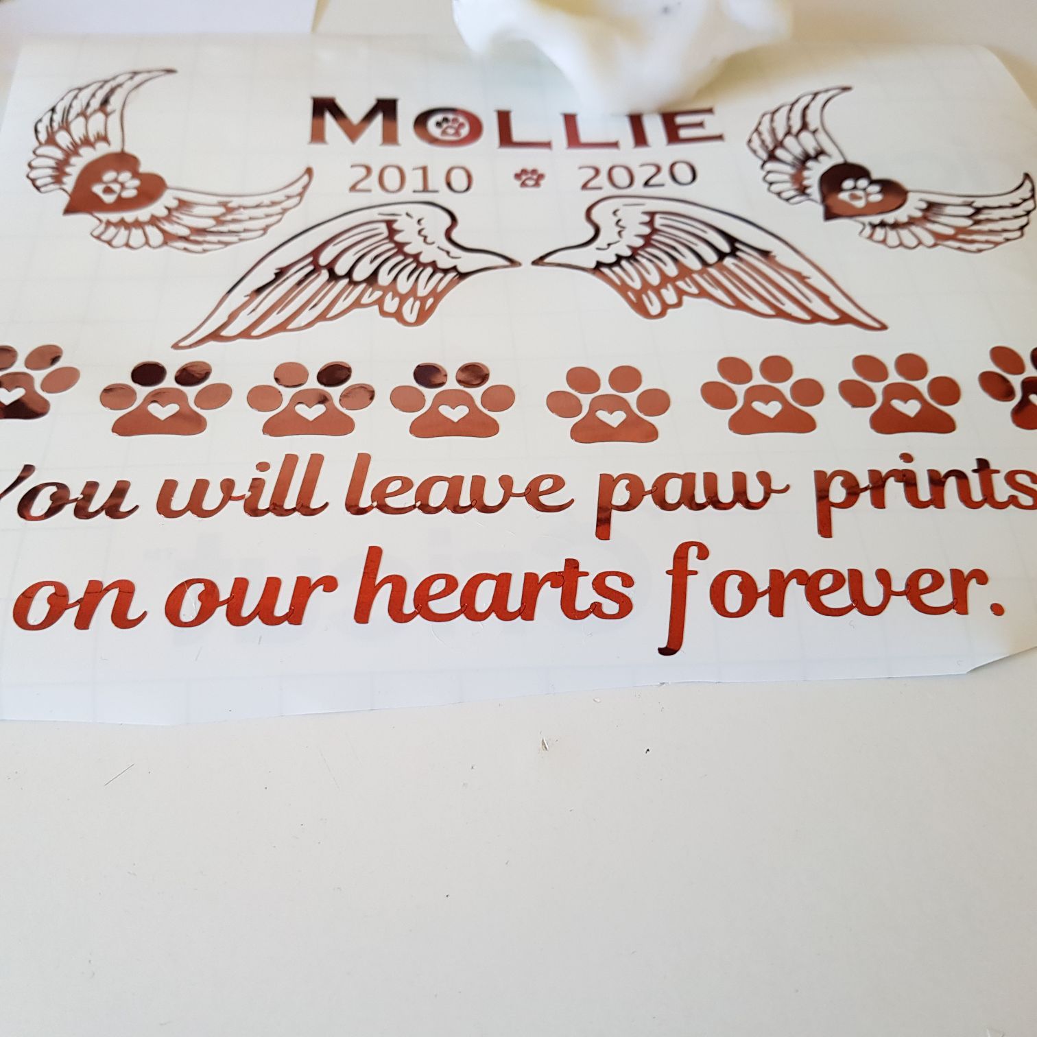 LED Light Pet Memorial Plaque (17).jpg