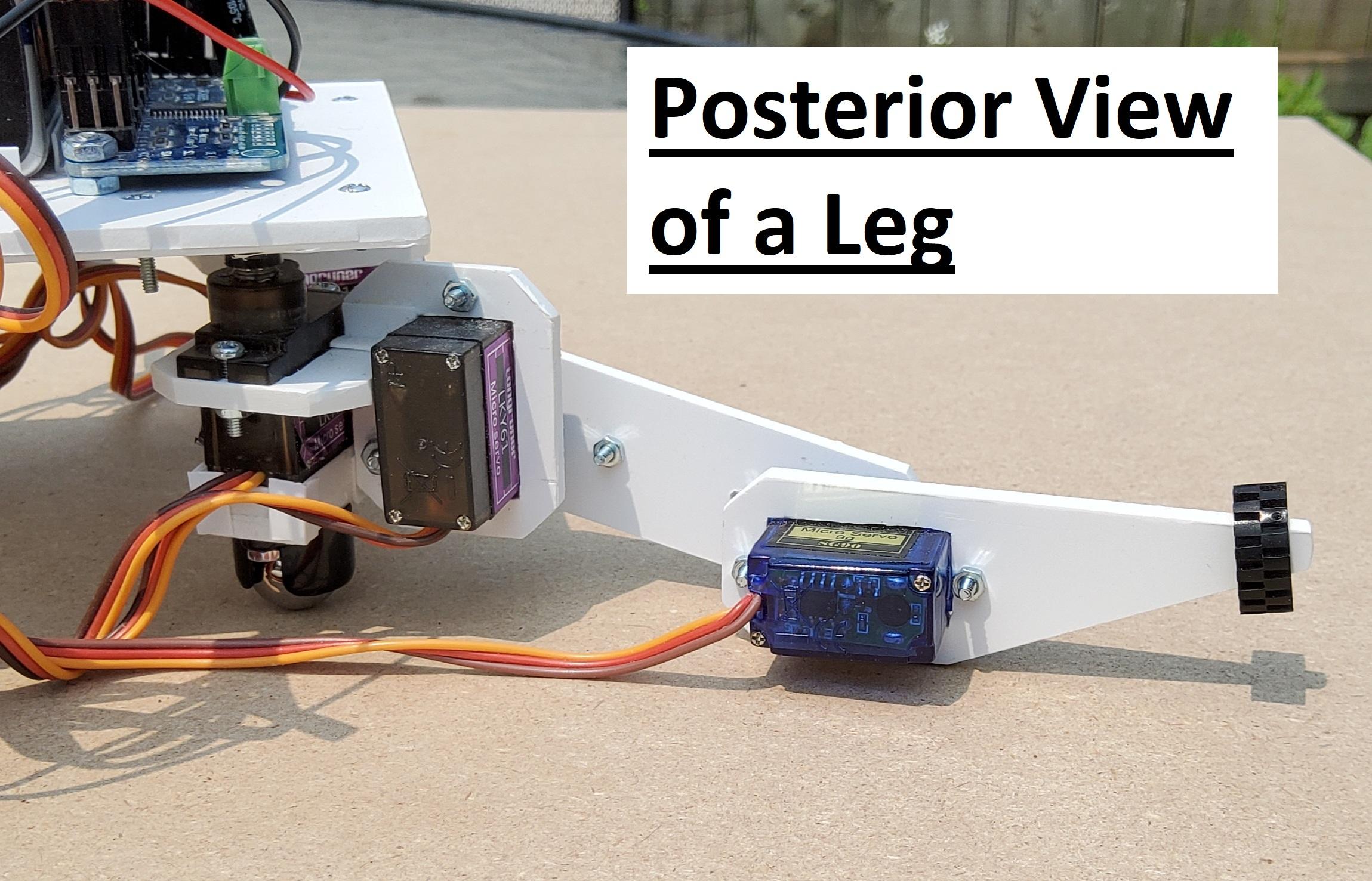 Leg4 Back labelled.jpg