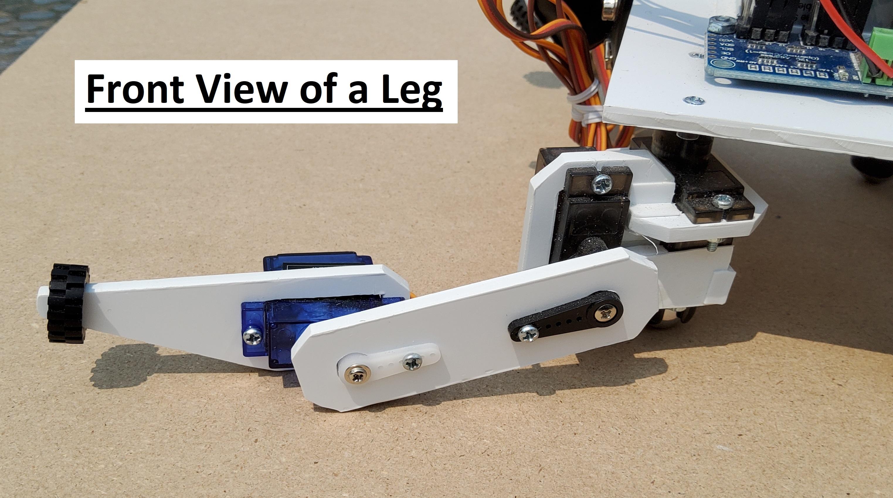 Leg4 Front labelled.jpg