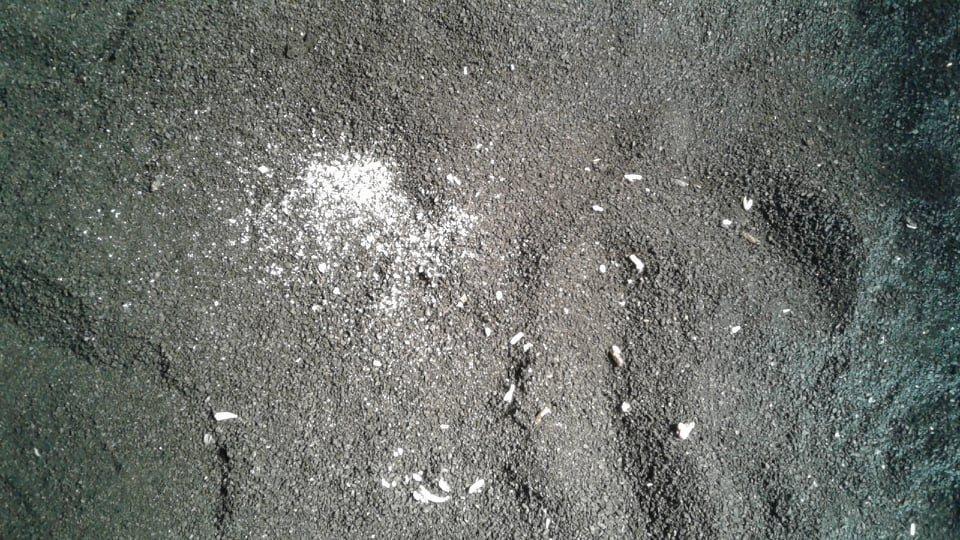 Messenger Kids_creation_1613610796315.jpeg