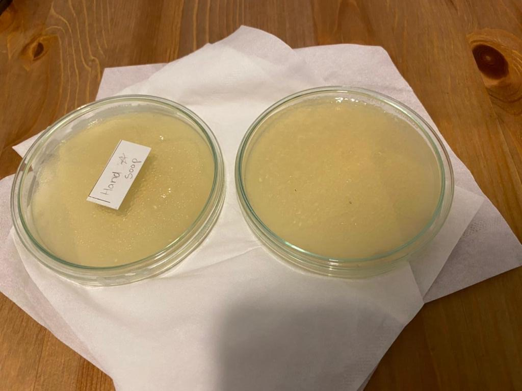 MicrosoftTeams-image (2).png