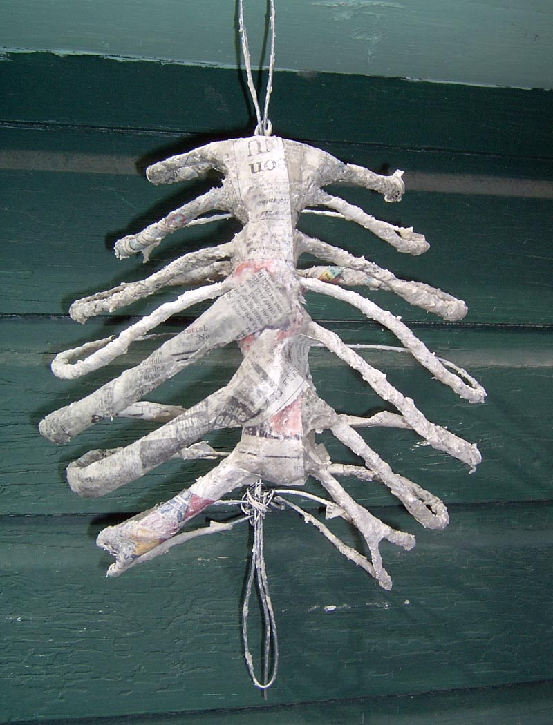 Package Pics 002.jpg