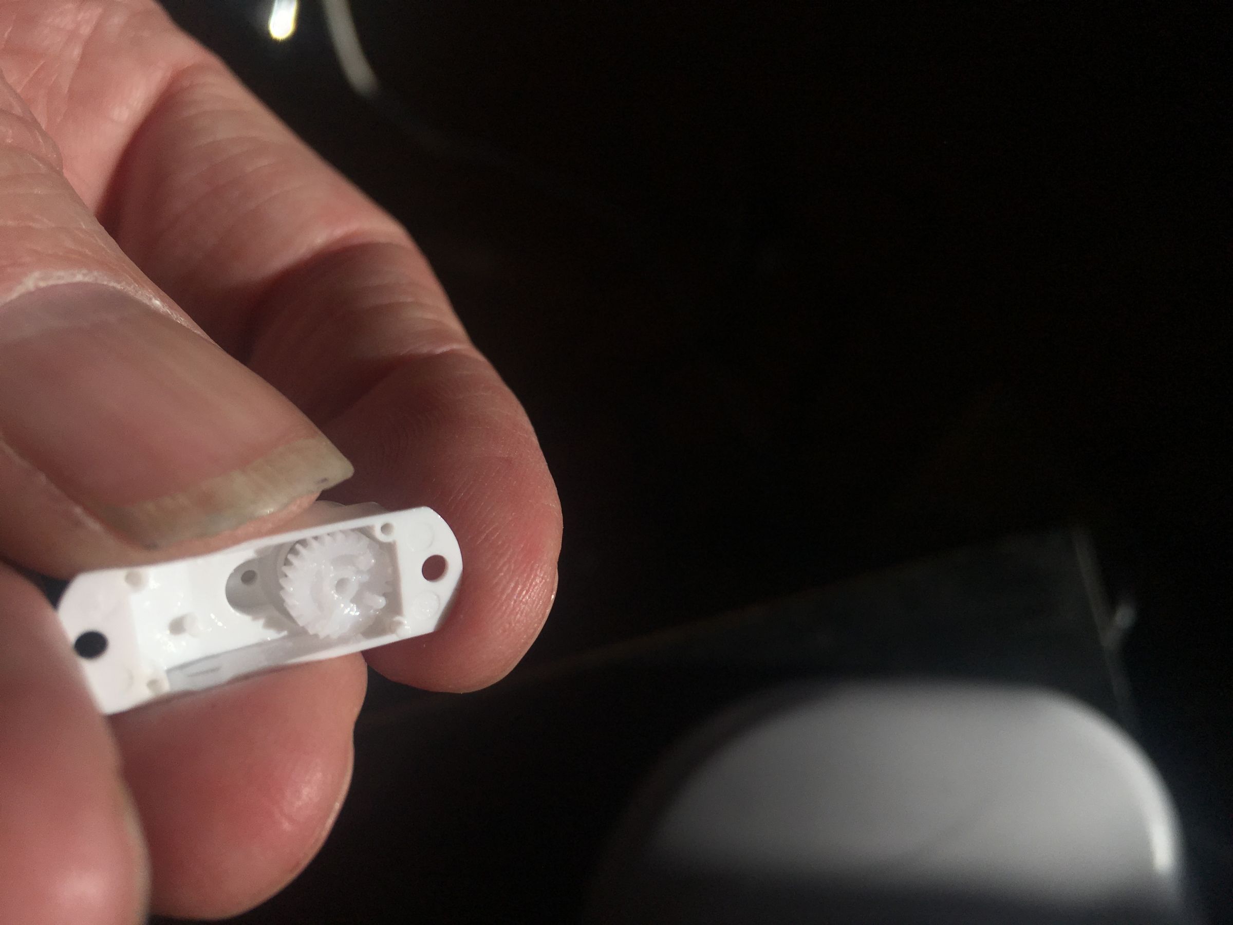 Photo 2-09-19, 4 09 49 PM.jpg