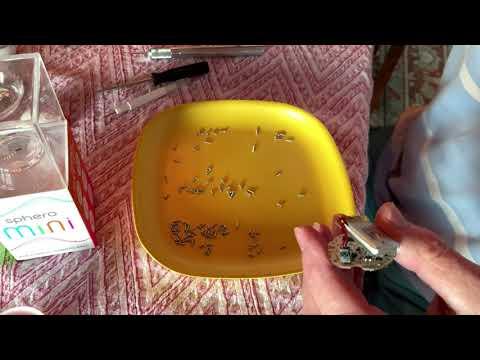 Physics Sensor Board Hacked From a Sphero Mini