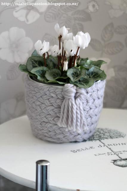 Picture or Video 040.JPG