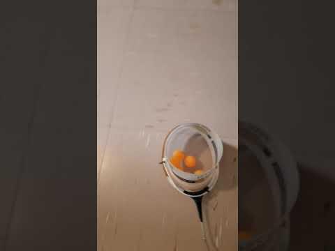 Ping Pong Ball Collector