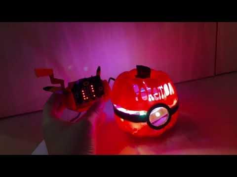 Pokemon Pumpkin Patch